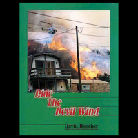Book cover of 'Ride The Devil Wind' with a fiery scene and green border